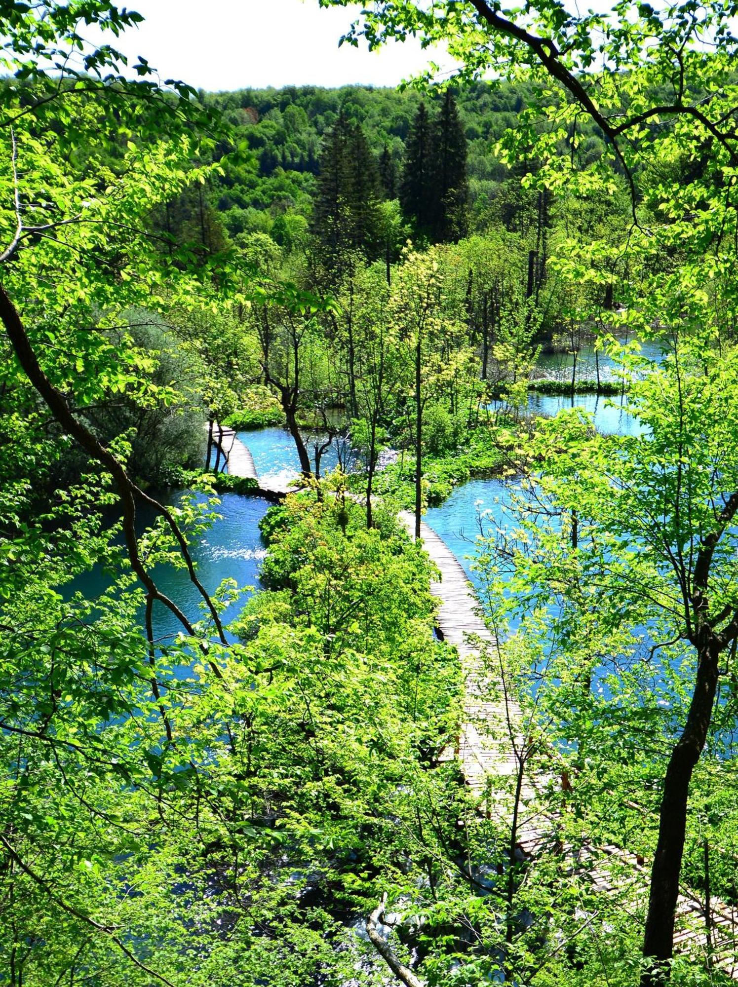 House Janja Plitvice Hotell Selište Drežničko Eksteriør bilde